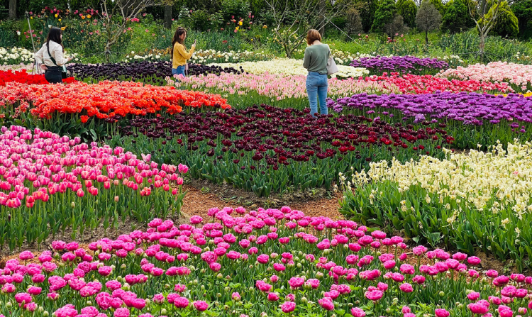 아산 세계꽃식물원