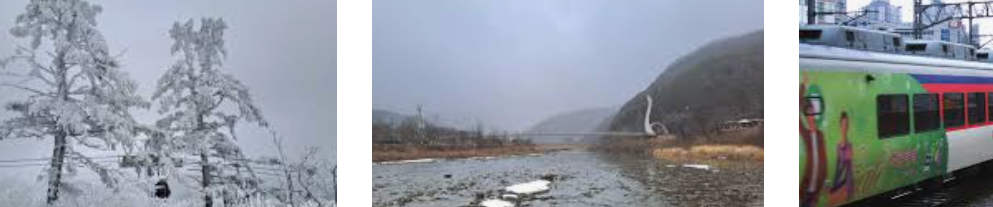 눈꽃 길과 정선열차