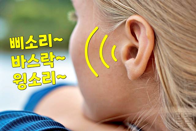 귀에서 삐소리 이명 증상 원인