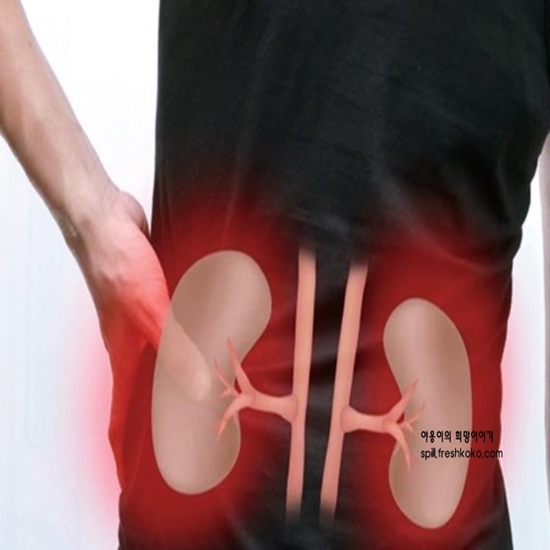신장에 좋은 음식