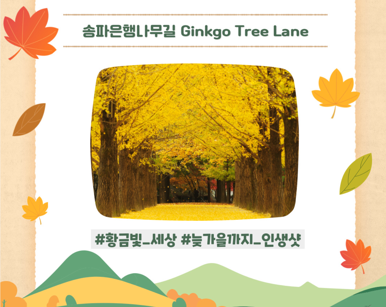 남이섬 송파은행나무길