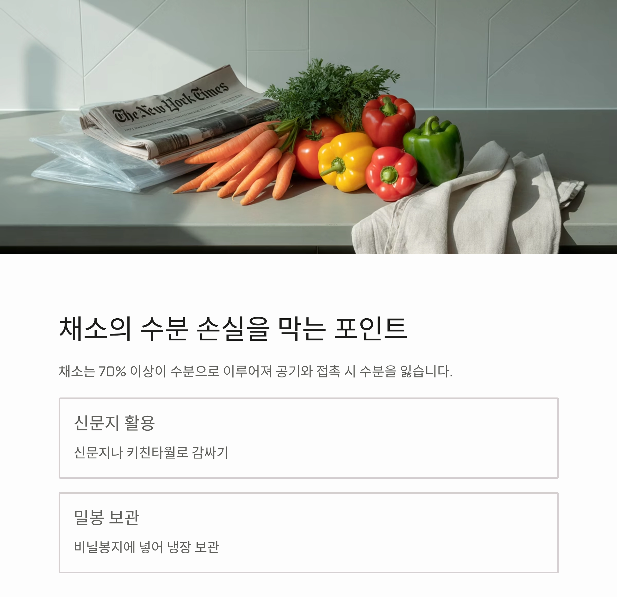 채소 오래 보관하는 과학적인 방법, 신선함 지키는 비밀
