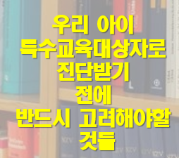특수교육대상자 진단 전 고려사항