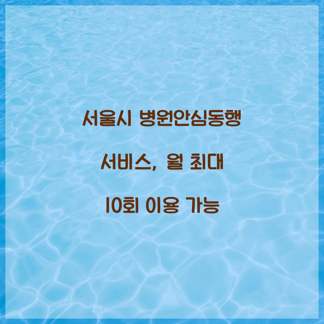 서울시 병원안심동행 서비스