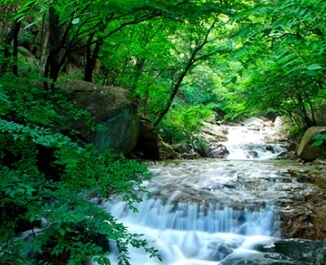 2025 울산옹기축제 일정 및 교통 주차 안내