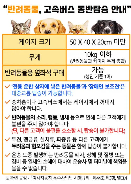 반려동물 고속버스 동반탑승