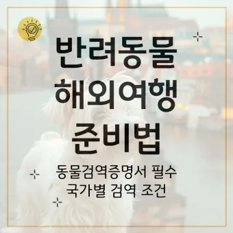 반려동물과 해외여행 기내 직항 펫 전용 준비와 절차_22