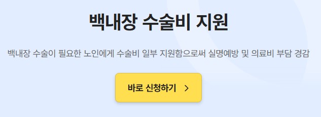 백내장 수술비 정부지원 지원대상 신청방법 구비서류