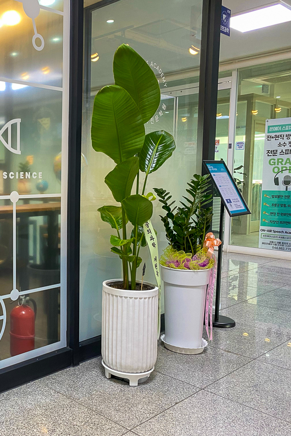 글로리채플 목장 식구들 이 보내 준 화분