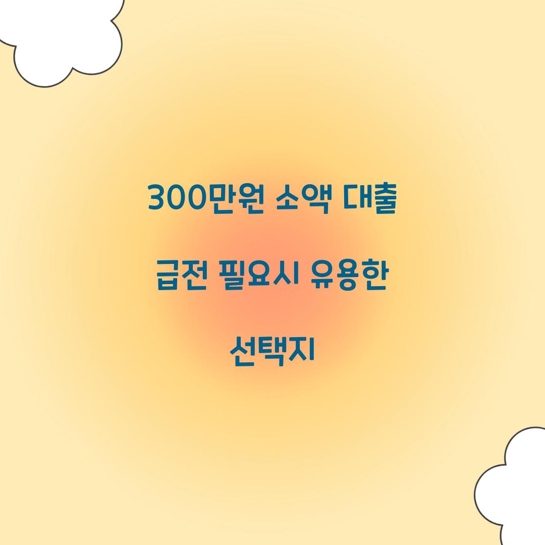 300만원 소액 대출