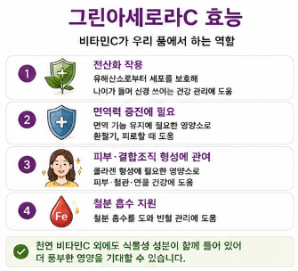 그린아세로라C-효능-뜻-복용법-최저가-가격-비교-추천