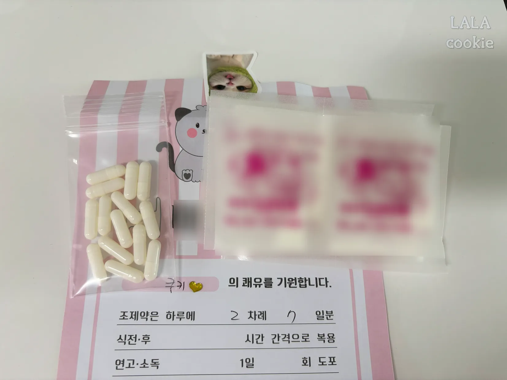 고양이-귓병-처방-약-봉투