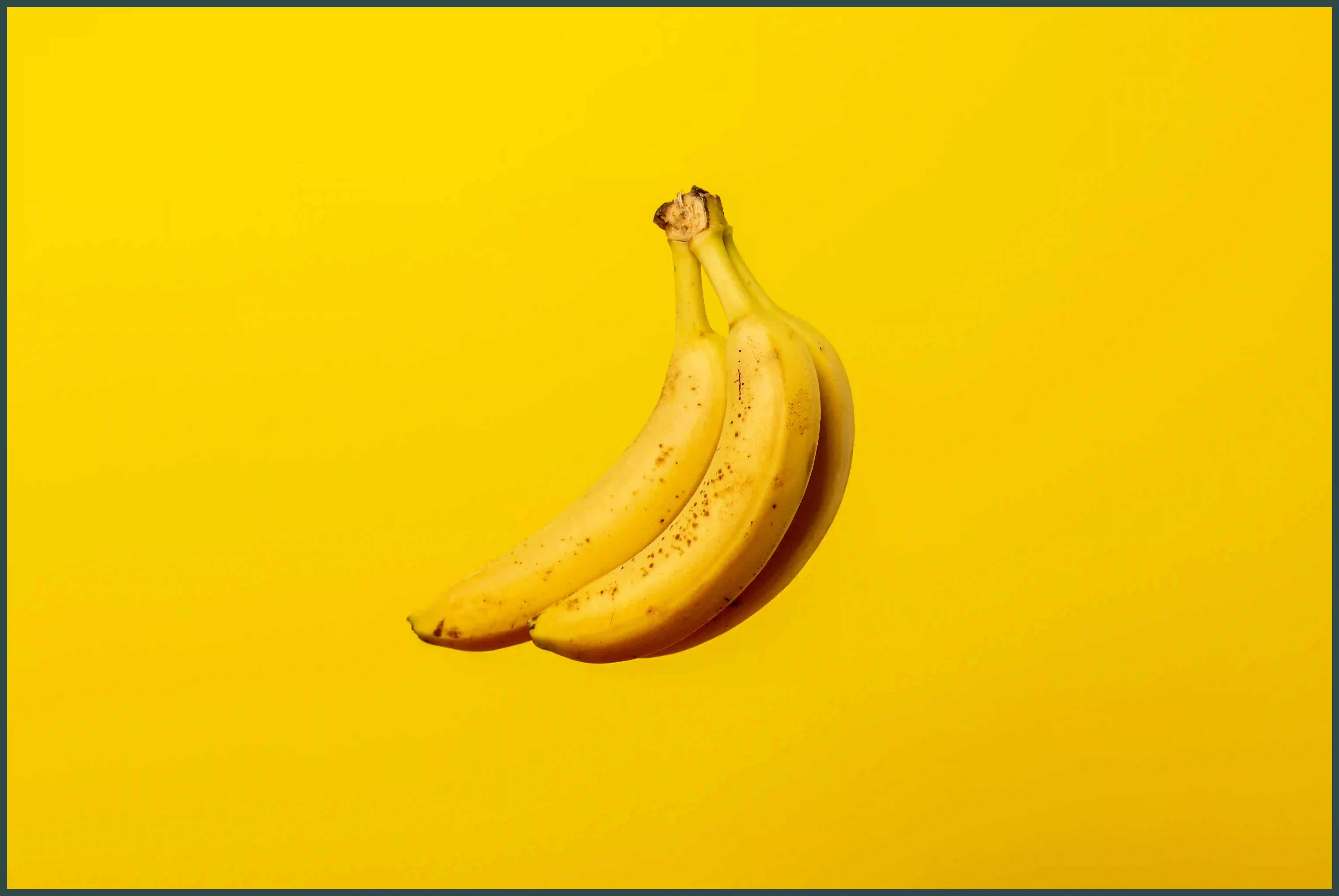 강아지 바나나 줘도 되나요? 급여 방법과 주의사항&nbsp;