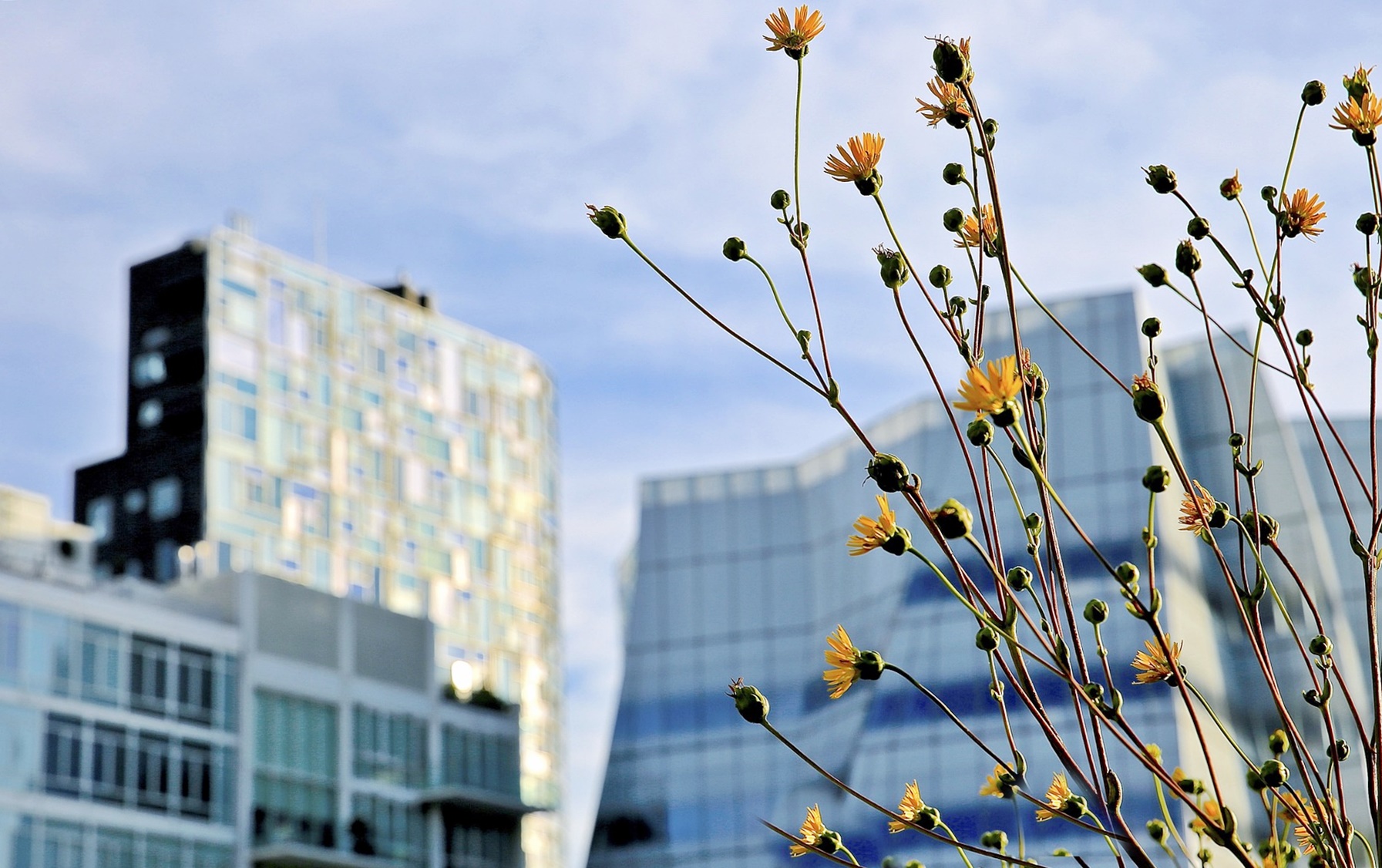 중년 돈관리 플랜 5가지! 연금과 노후자금!