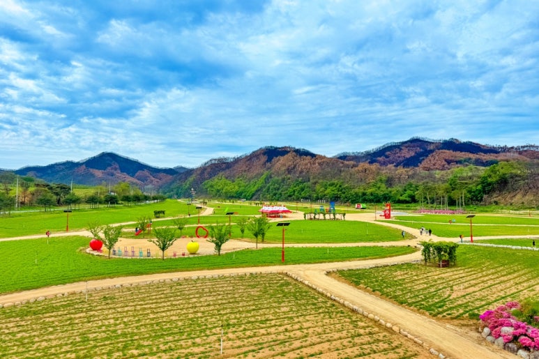  청송 가볼만한곳