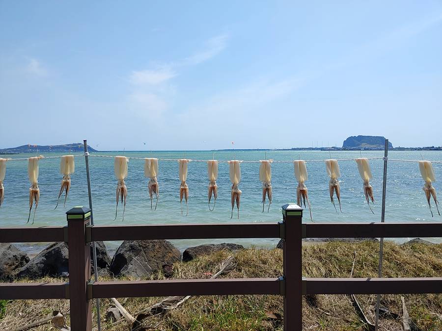 제주올레 1코스 종달리 해변