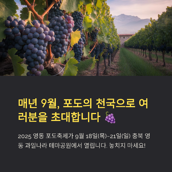 영동 포도축제 2025 완전 정리: 일정·프로그램·체험·맛집·교통 안내