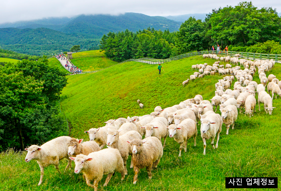 6월 국내 여행지 추천 BEST 5&amp;#44; 초여름 가볼만한곳