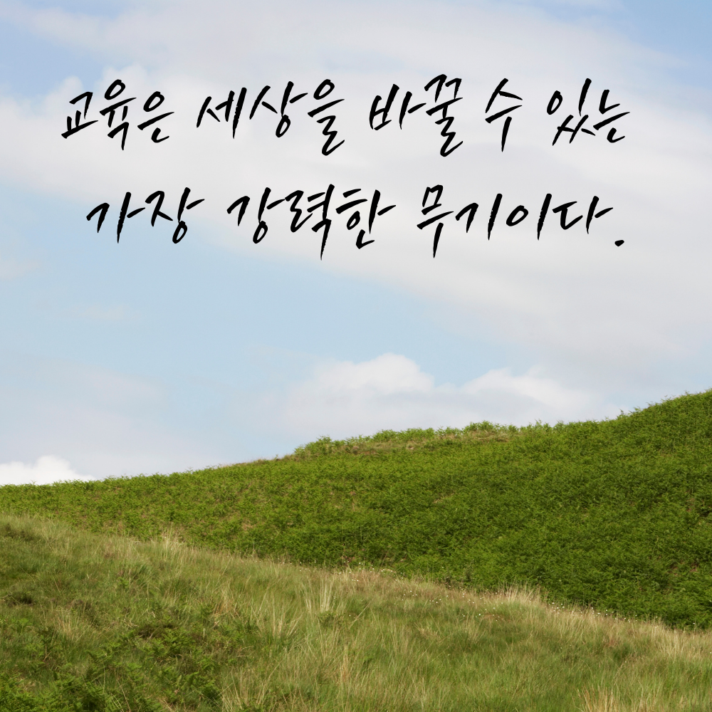 캘리그라피 짧고 좋은 글귀 인생 명언 모음