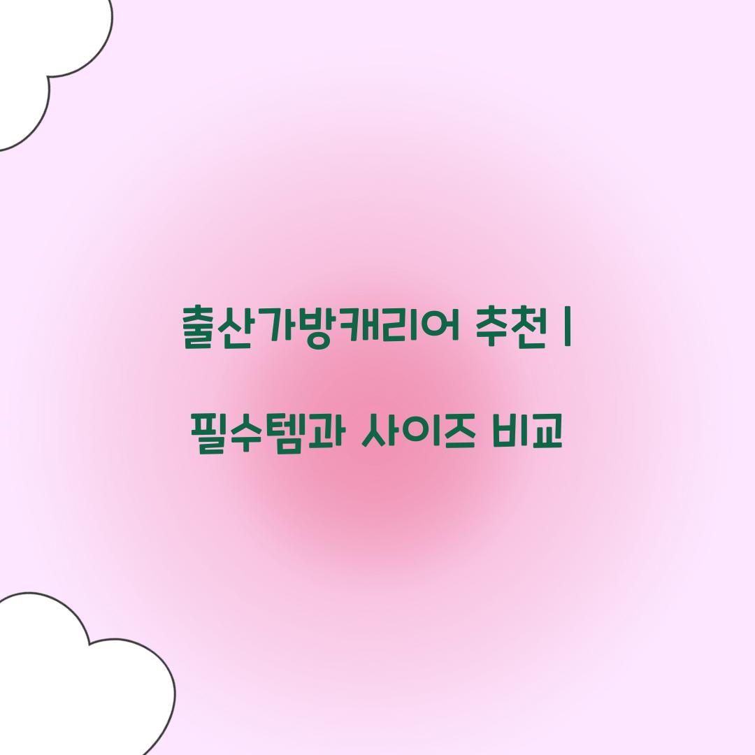 출산가방캐리어 추천