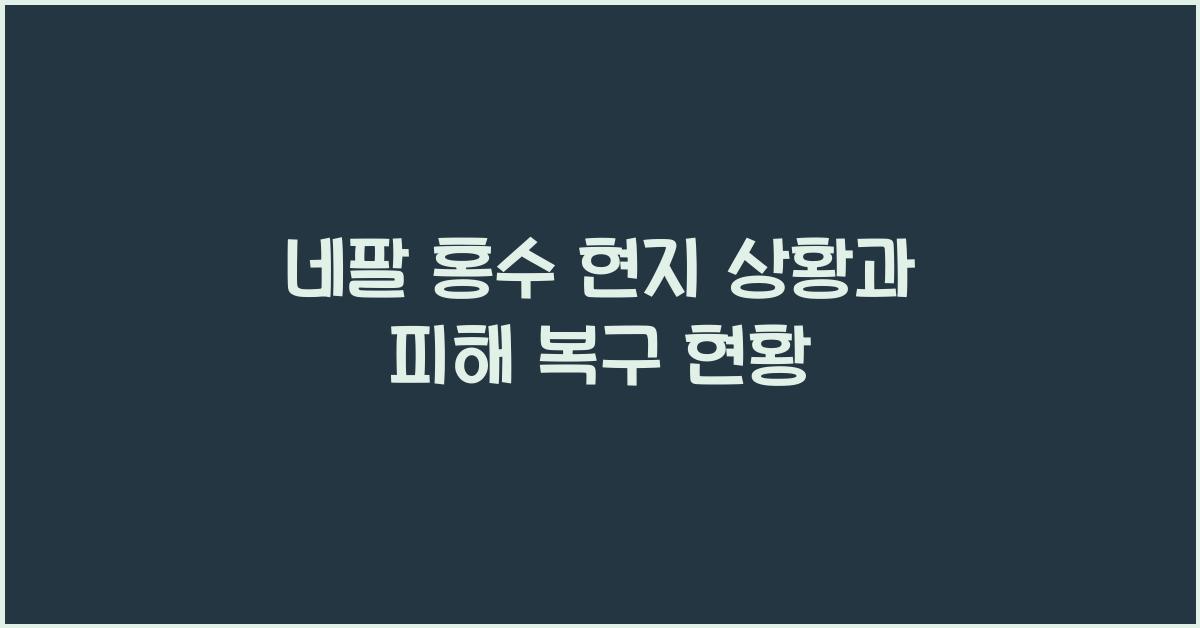 네팔 홍수 현지 상황
