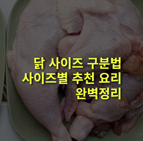 닭 사이즈 보는 법, 사이즈별 추천 요리 알아보기.