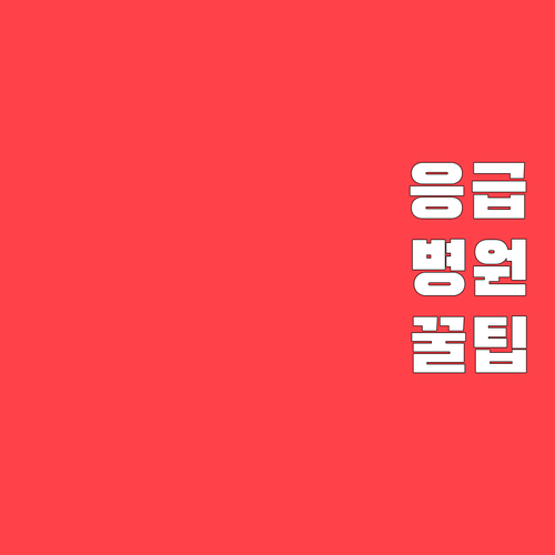 대전 동구 응급 진료 가능 병원..