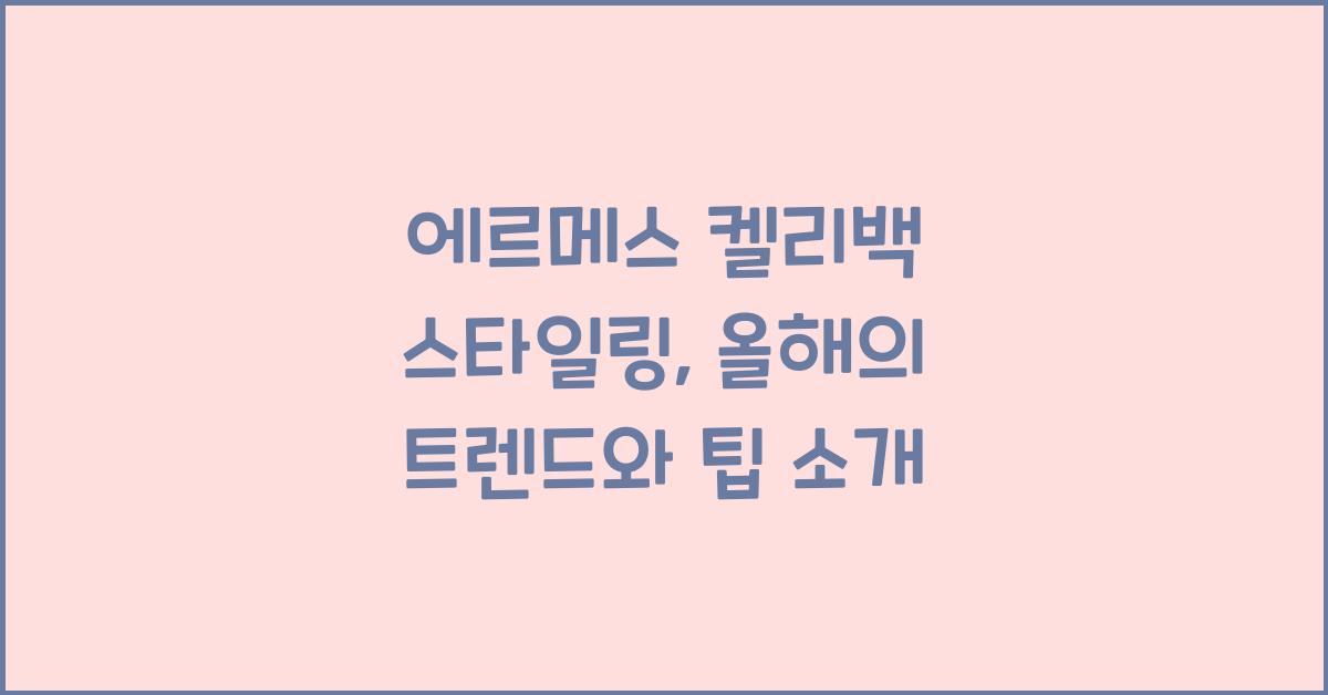 에르메스 켈리백 스타일링