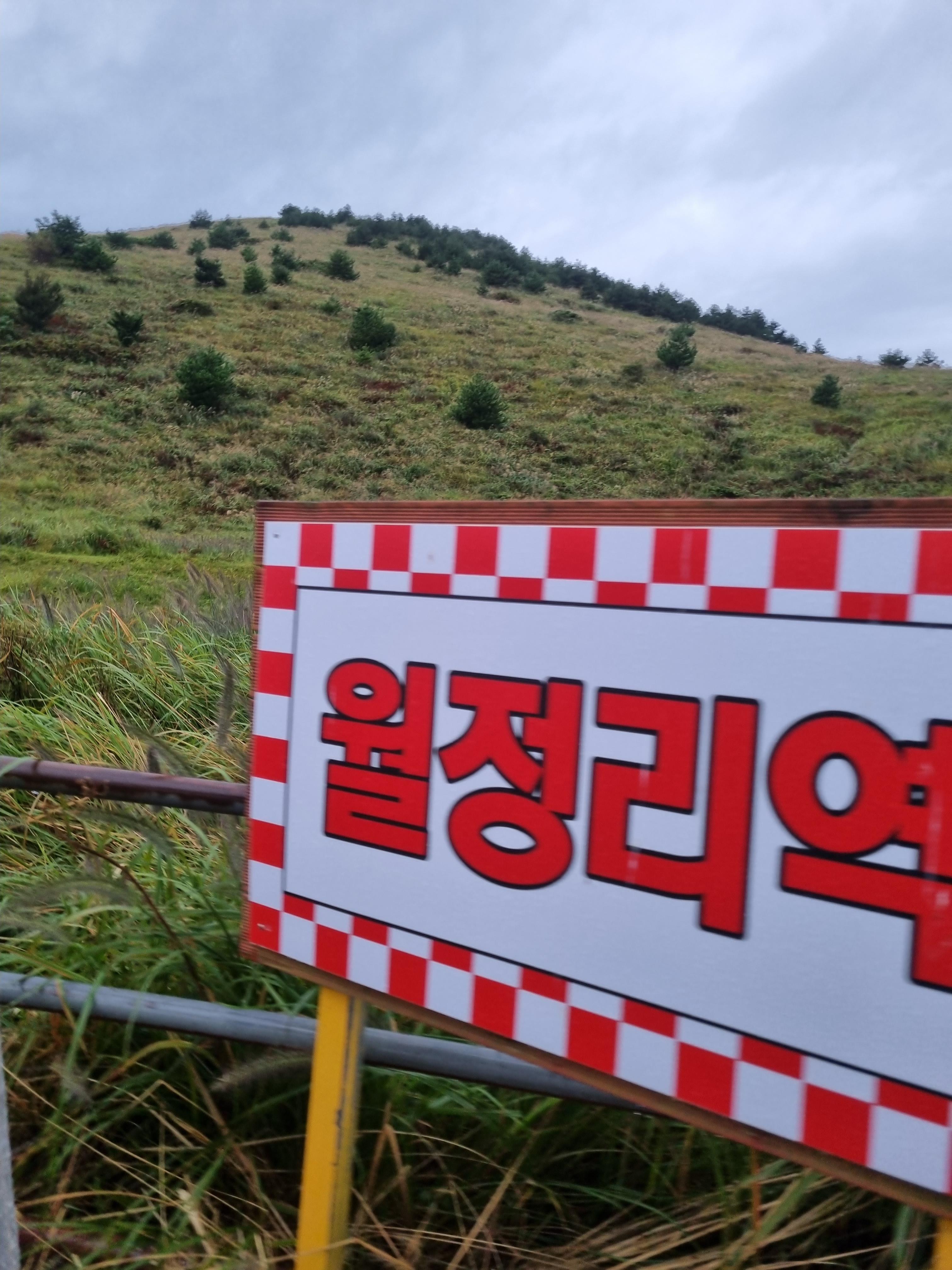 제주레일바이크
