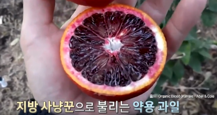 모로실