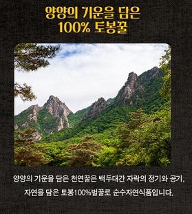 양양토봉꿀