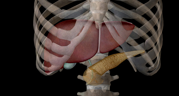 췌장암 초기증상