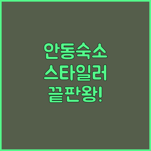 안동 여행 숙소 고민 끝 스타일러와 ..