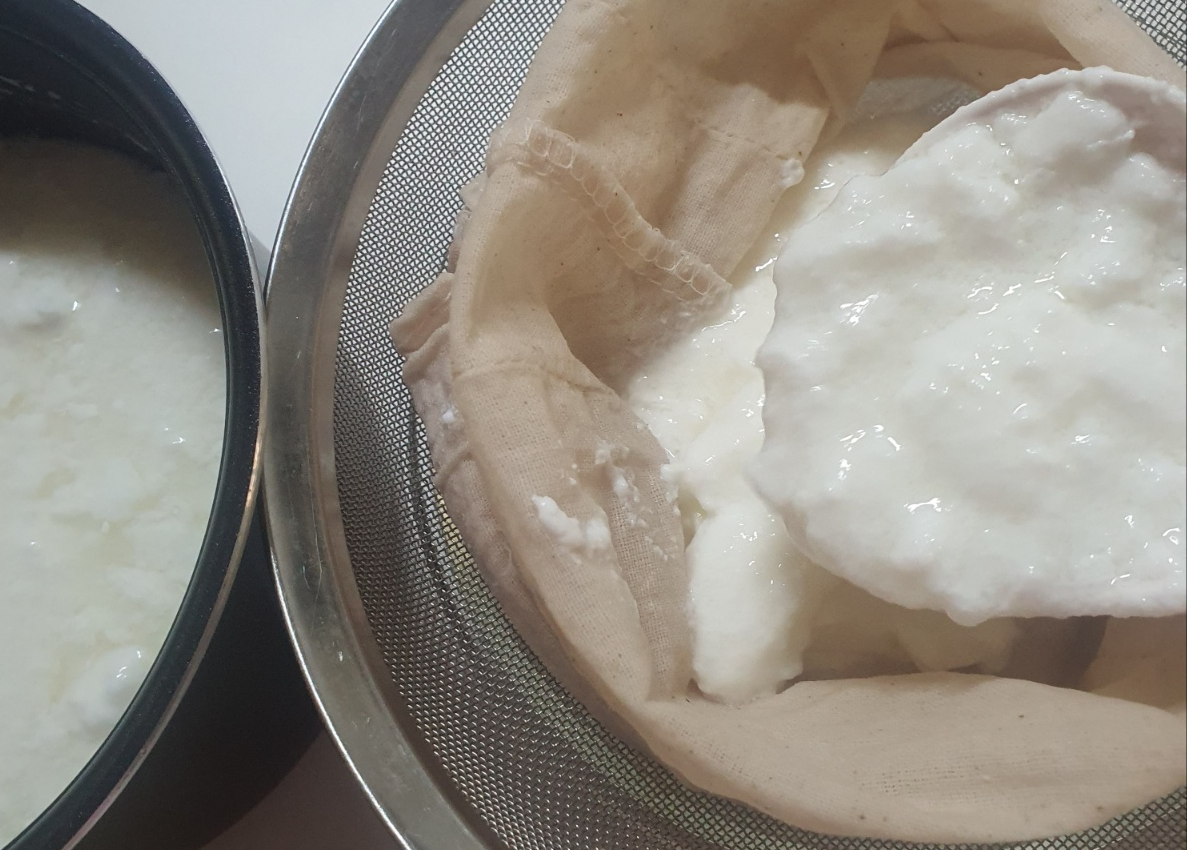 걸쭉해진 발효된 우유를 체망에 붓고 있다