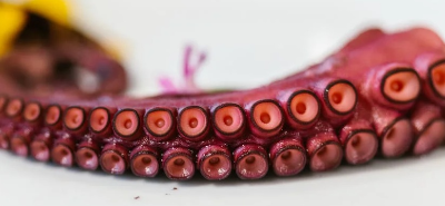 낙지 연포탕 만드는 법