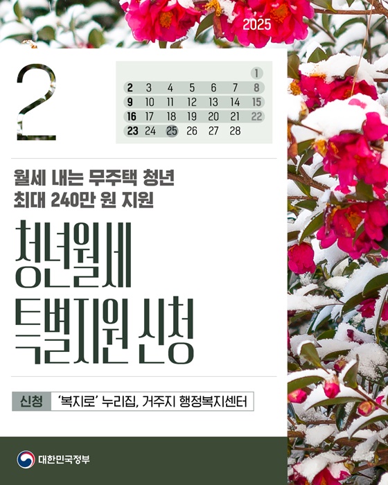 청년월세