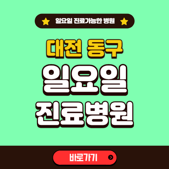 대전 동구 일요일 진료 가능한 병원 ❘ 주말 문여는 곳 총정리 (소아과, 내과, 안과, 치과, 피부과, 정형외과, 산부인과)