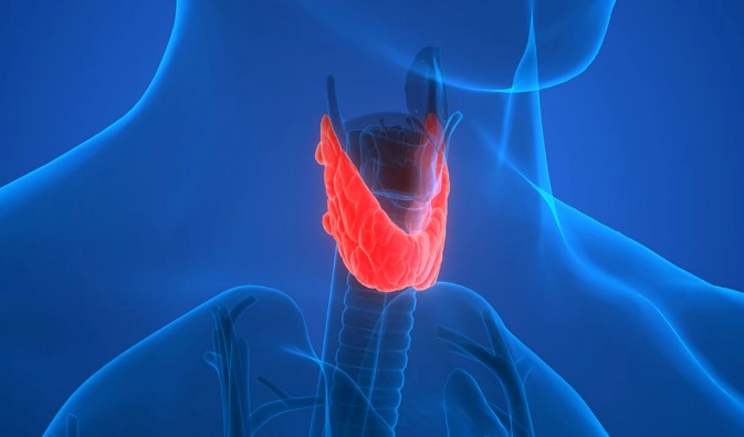 갑상선기능저하증 좋은 음식