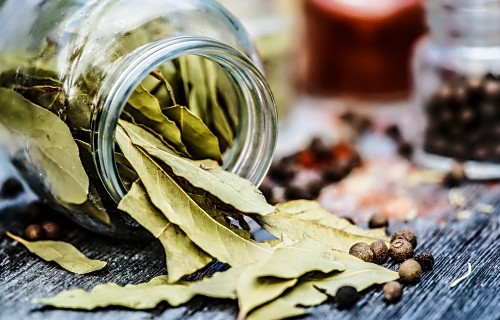 월계수잎 효능, 사용법, 부작용