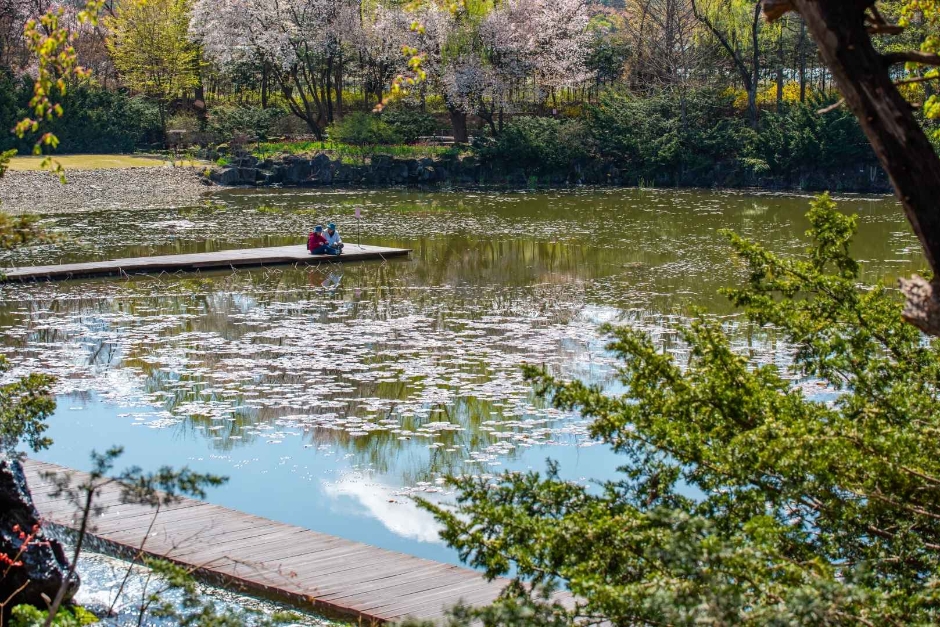 벽초지수목원 봄꽃축제 일정 입장료 맛집 주차장