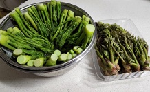 참두릅
