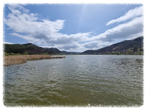 정양늪생태공원