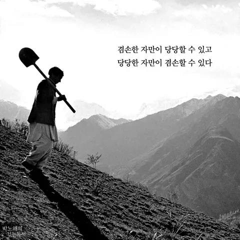 고라