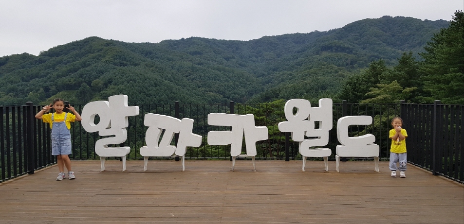 알파카 월드
