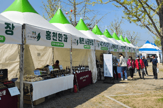 홍천 산나물 축제
