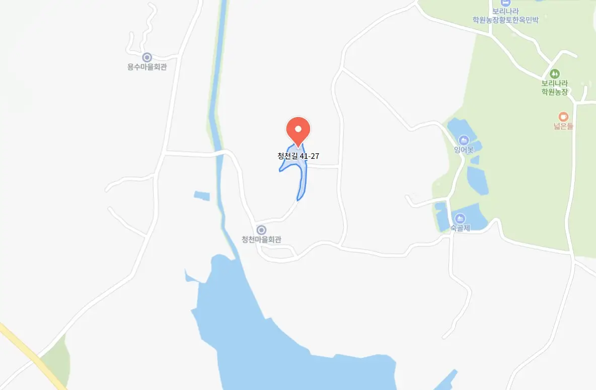 고창청농원 핑크뮬리시즌