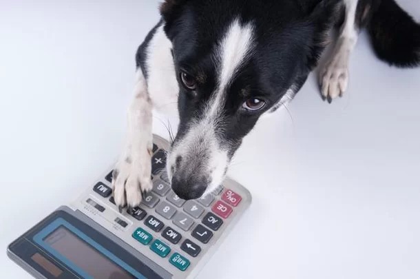 연말정산 간소화서비스