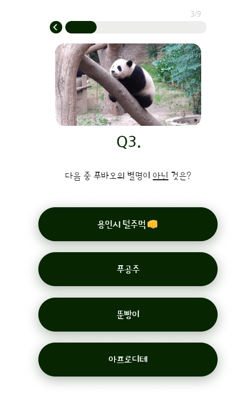 푸바오 덕후력 테스트 