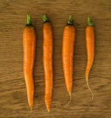 당근 효능 부작용 고르는법 칼로리