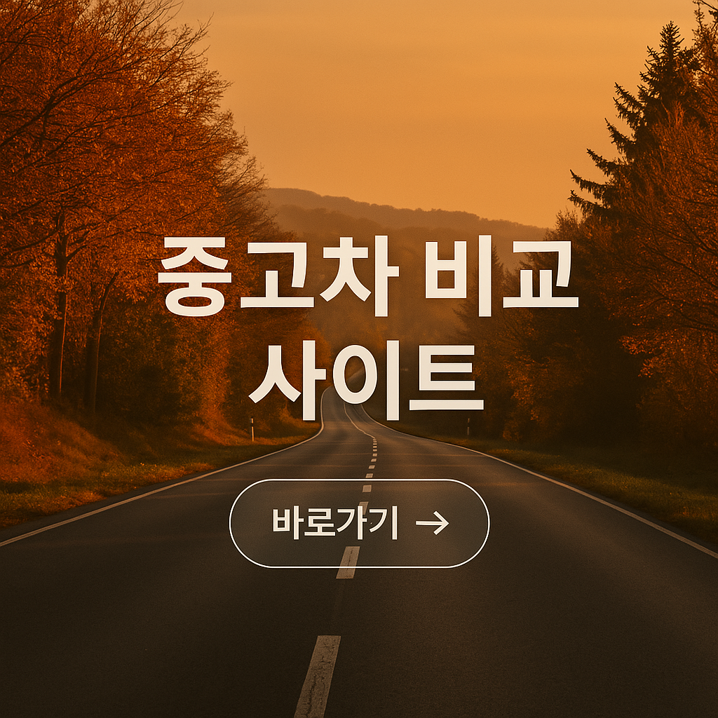 중고차 비교 사이트 사진